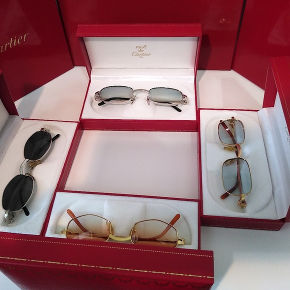 Cartier Sunglassesdreamer And Ginger 